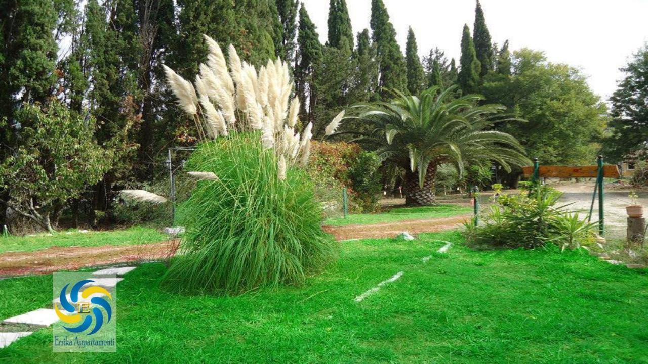 Errika Ipsos