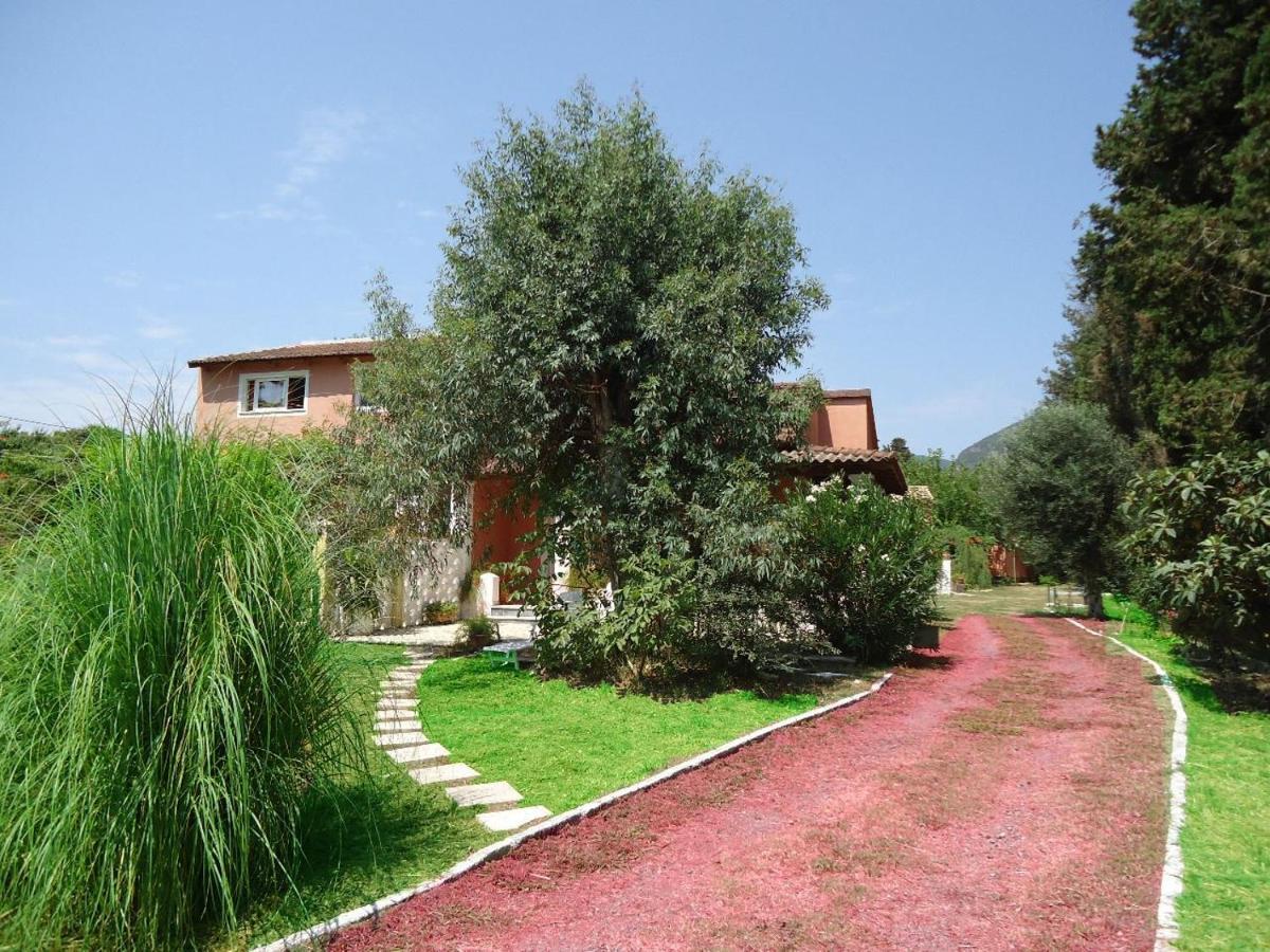 Errika Apartment Ipsos