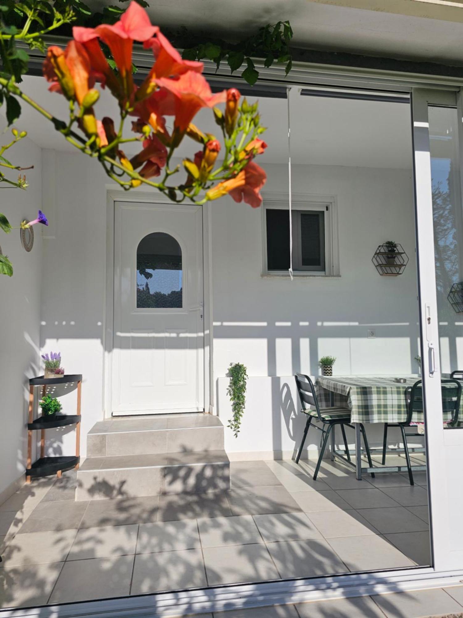 Errika Apartment Ipsos